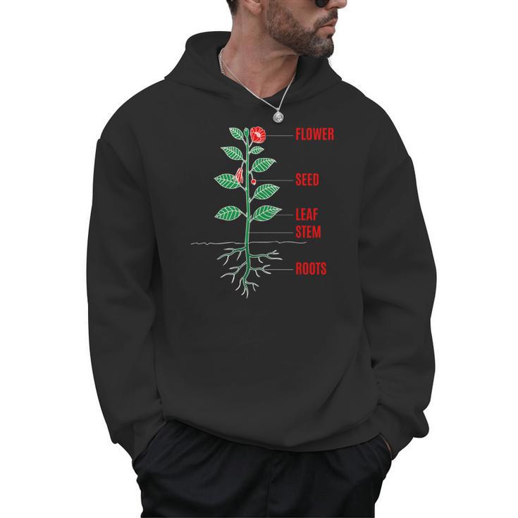 Parts Of a Plant Science For Teachers Kids And Students Men Hoodie