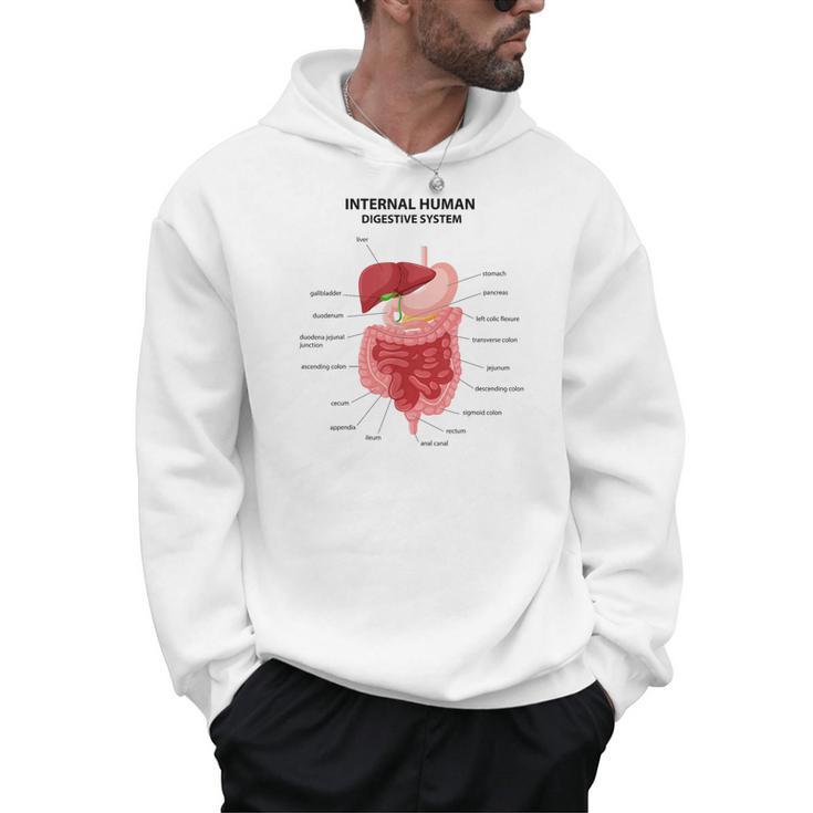 Digestive System Anatomy Anatomical Biology Teacher Men Women Men Hoodie, trending gift