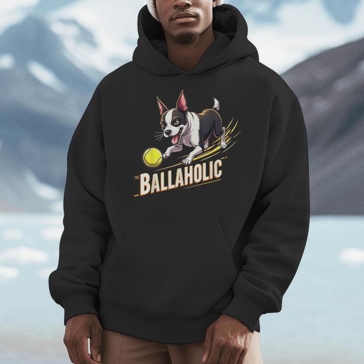 Ballaholic Boston Terrier Dog Chasing Bostie Ball Men Hoodie, funny design
