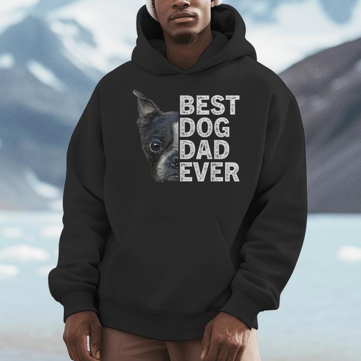 Best Dog Dad Ever Boston Terrier Dog Lover For Dad Men Women Girls Kids Men Hoodie, Couple Gifts, Boston Terrier Dad Gifts, funny design