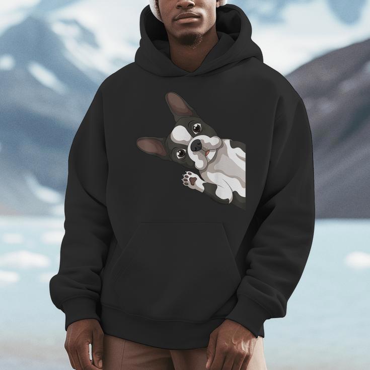Boston Terrier Bostie Dog Kids Boys Girls Men Hoodie, funny design