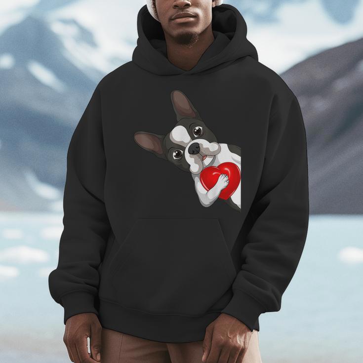 Boston Terrier Bostie Dog Kids Women Girls Men Hoodie, funny design