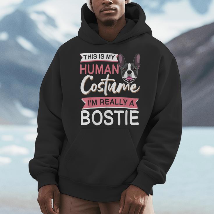Boston Terrier Dog Bostie Halloween Costume Dog For Kids Men Hoodie, Boston Terrier Halloween Gifts, funny design