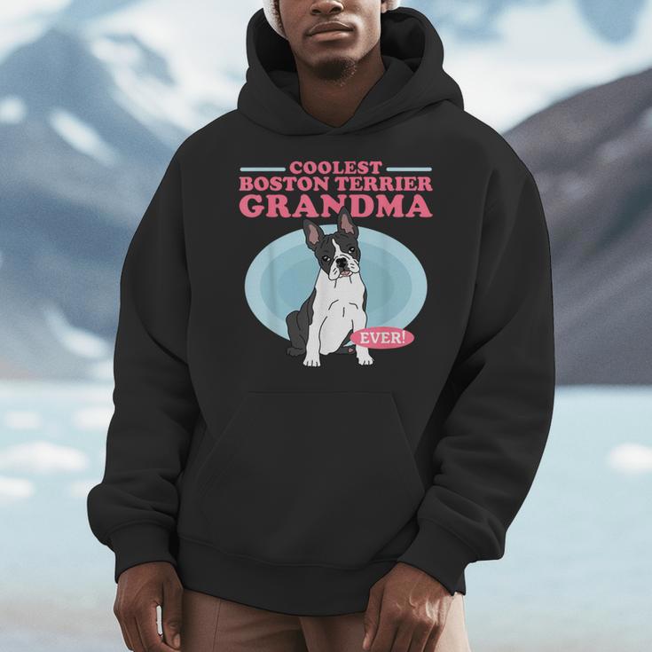 Boston Terrier Grandma Bostie Dog Owner Boston Terrier Men Women Men Hoodie, funny design