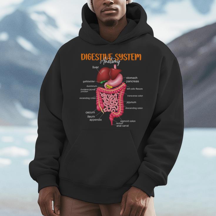 Digestive System Anatomy Anatomical Biology Teacher Men Hoodie, funny design Digestive System Anatomy Anatomical Biology Teacher Men Hoodie, funny design