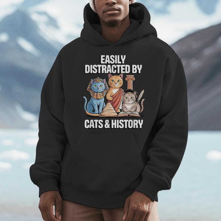 Easily Distracted By Cats & History Teacher Women Men Men Hoodie, History Teacher Gifts, funny design