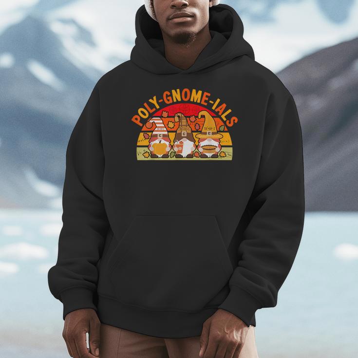 Fun Polynomial Calculus Algebra Poly-Gnome-Ials Math Teacher Men Hoodie, funny design