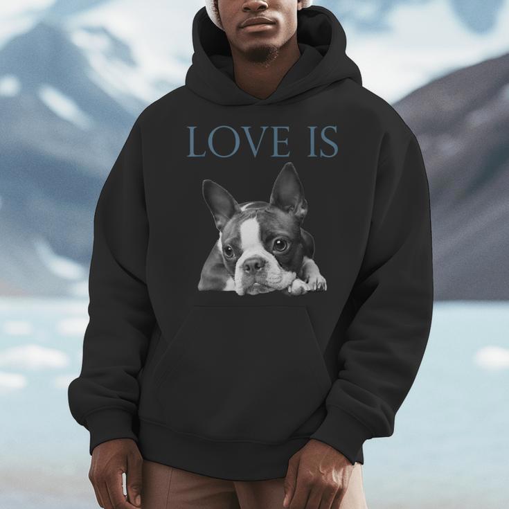 Love Is Boston Terrier Bostie Men Hoodie, funny design