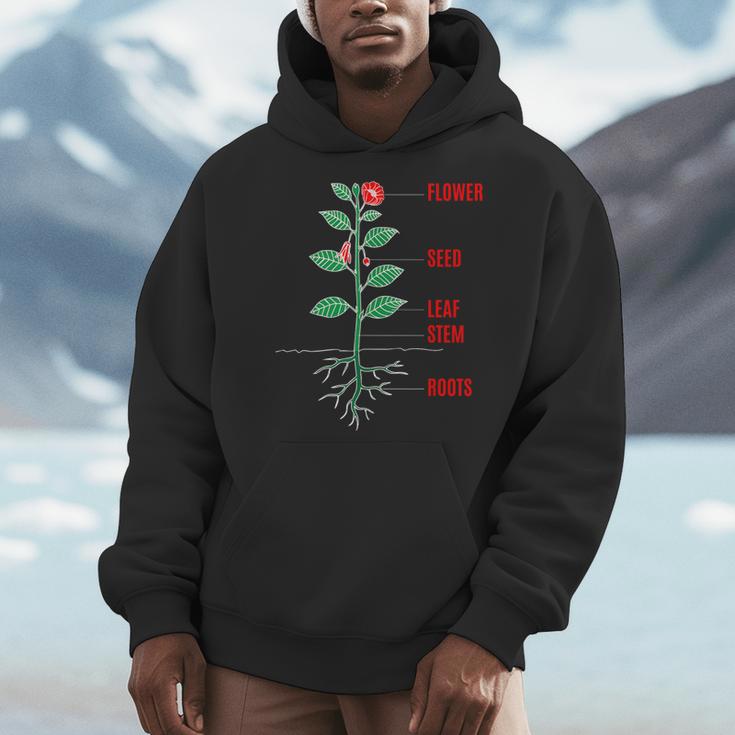Parts Of a Plant Science For Teachers Kids And Students Men Hoodie, Science Teacher Gifts, funny design