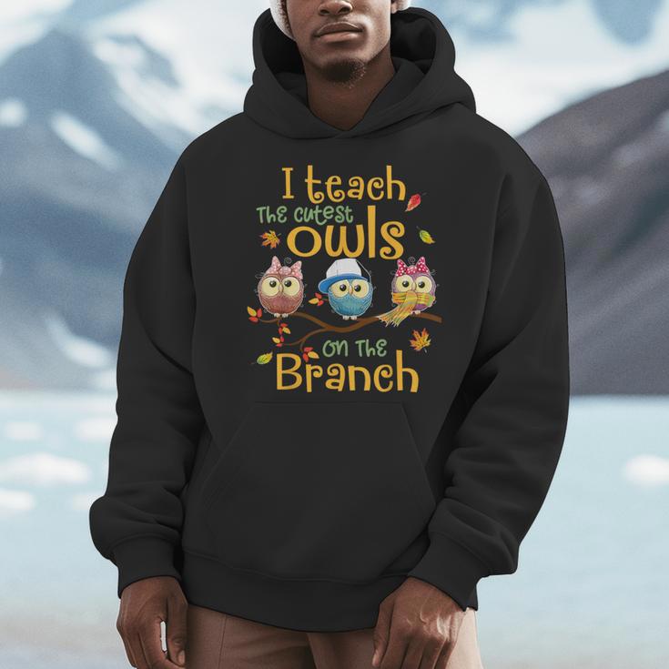 I Teach The Cutest Owls On The Branch Teacher Fall Autumn Men Hoodie, funny design