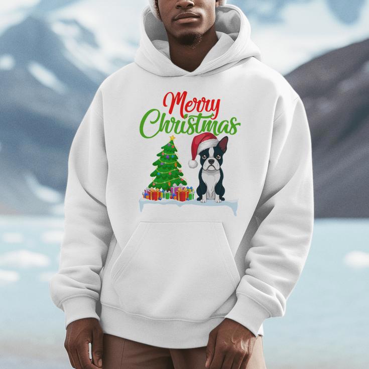 Boston Terrier Christmas Tree Lights Xmas Dog Lover Men Hoodie, Boston Terrier Christmas Gifts, funny design