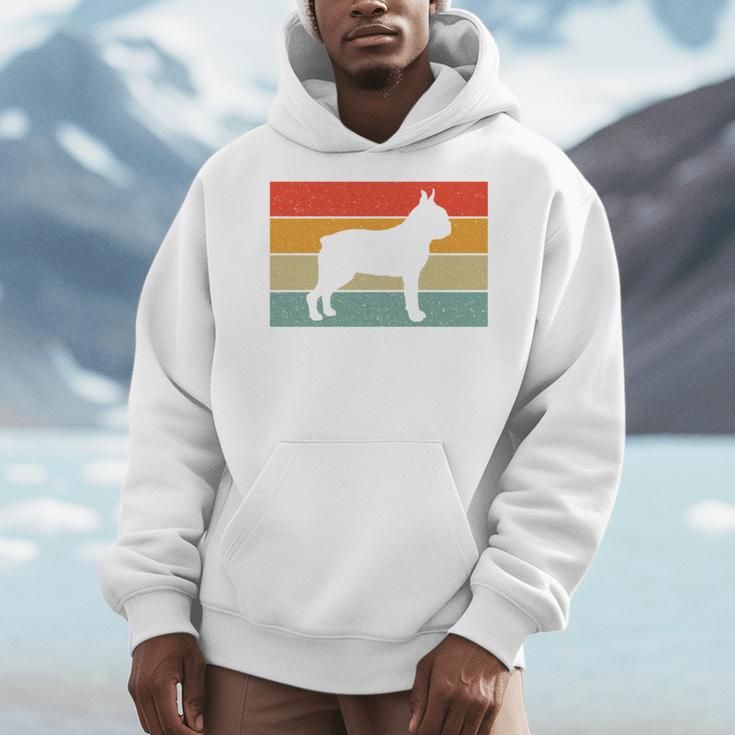 Boston Terrier Dog Lover Retro Vintage Cool For Dog Owner Men Hoodie, funny design
