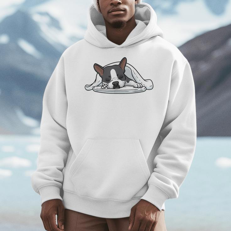 Boston Terrier Dog Official Sleeping Men Women Girls Kids Men Hoodie, funny design