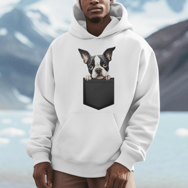 Boston Terrier Dog Puppy Dog In Pocket Cute Pet Lover Men Hoodie, funny design