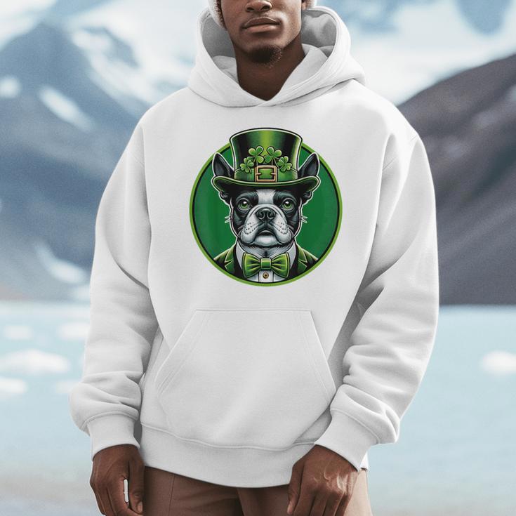 Boston Terrier Dog St Patricks Day Irish Pet Lover Men Women Kids Men Hoodie, funny design