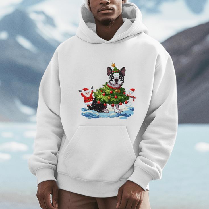 Boston Terrier Merry Christmas Tree Lights Dog X-Mas Dogs Men Hoodie, Boston Terrier Christmas Gifts, funny design