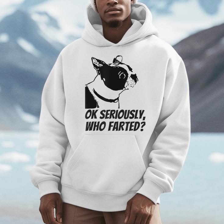 Boston Terrier Shirt Ok Seriously Who Farted Men Hoodie, funny design