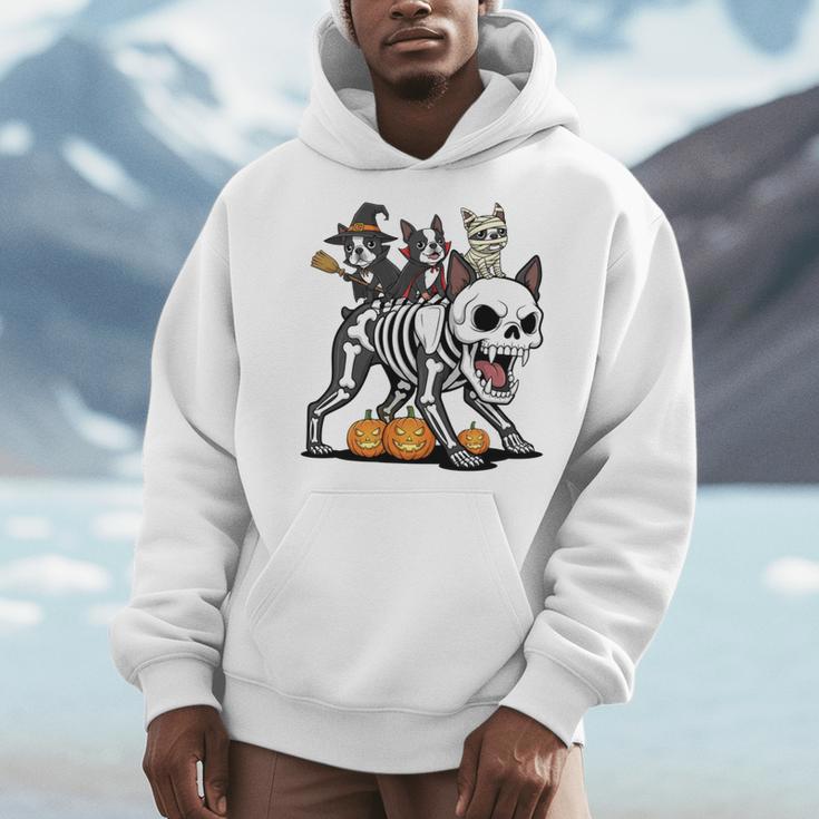 Boston Terrier Skeleton Mummy Witch Halloween Men Hoodie, Boston Terrier Halloween Gifts, funny design