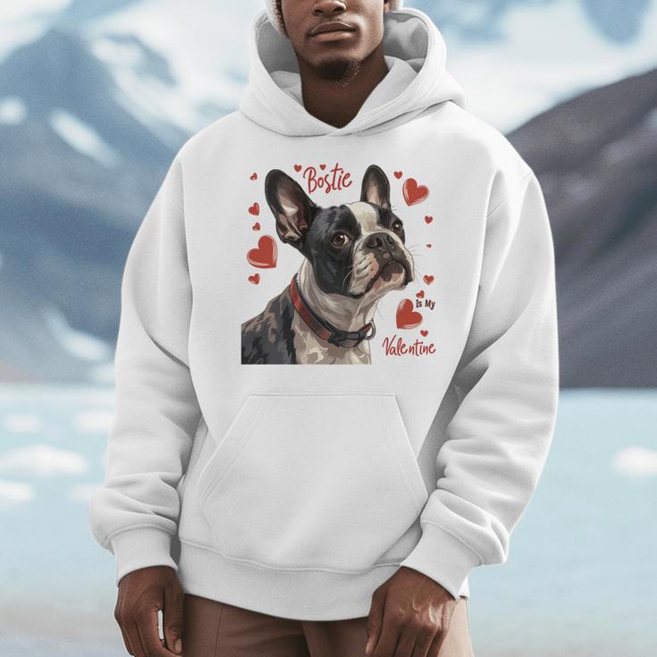 Boston Terrier Is My Valentine Cute Pet Dog Owner Valentine Men Hoodie, funny design