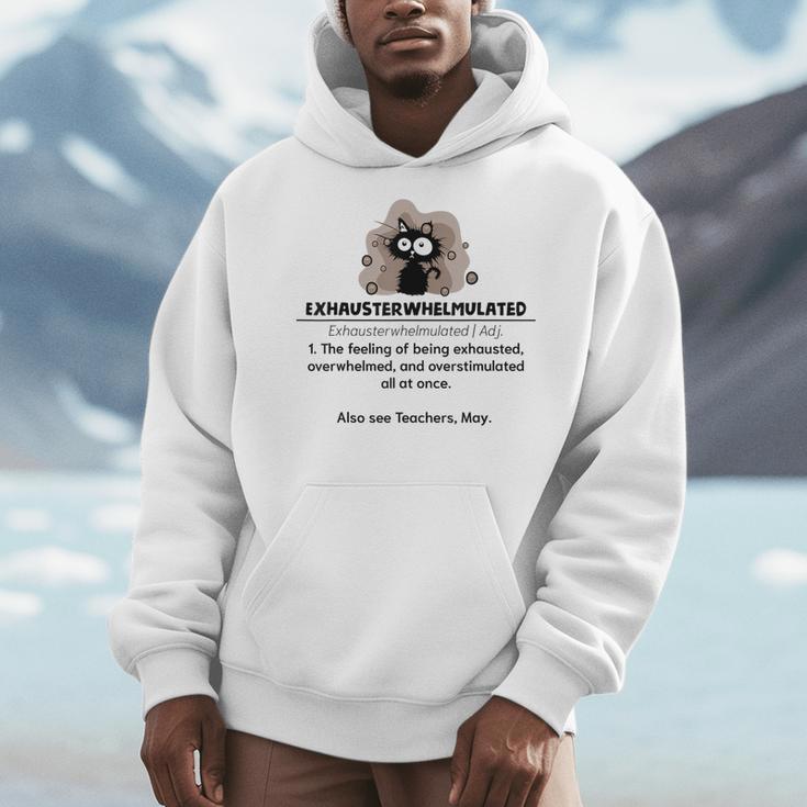 Cat Exhausted Teacher Exhausterwhelmulated Definition Men Hoodie, funny design