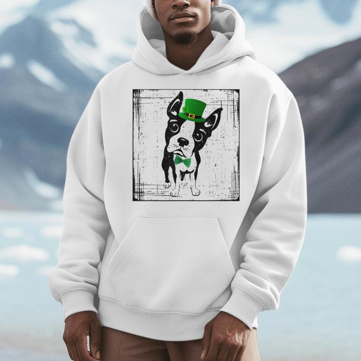 Cool Saint Patrick's Boston Terrier T Shirt For Dogs Lovers Men Hoodie, funny design