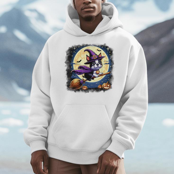 Cute Boston Terrier Halloween Costume Dog Lover Women Girls Men Hoodie, Boston Terrier Halloween Gifts, funny design