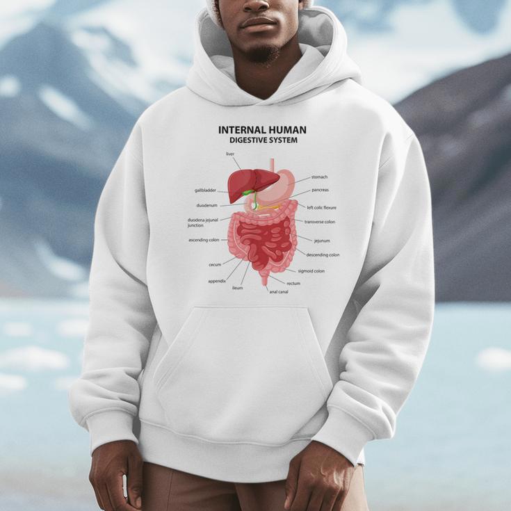 Digestive System Anatomy Anatomical Biology Teacher Men Women Men Hoodie, funny design