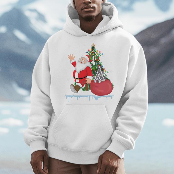 Santa Ugly Christmas Tree Lights Boston Terrier Dog Lover Men Hoodie, Boston Terrier Christmas Gifts, funny design