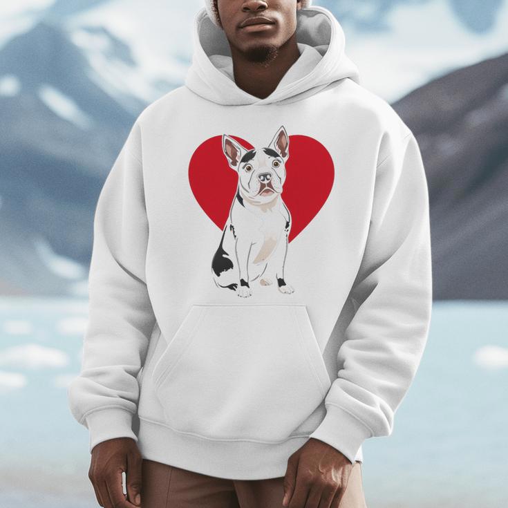 Valentine's Day Boston Terrier Lover Men Hoodie, funny design