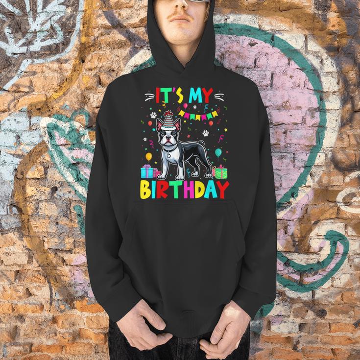 My Birthday Colorful Costume Boston Terrier Party Men Hoodie, gift for family, gift for coworker