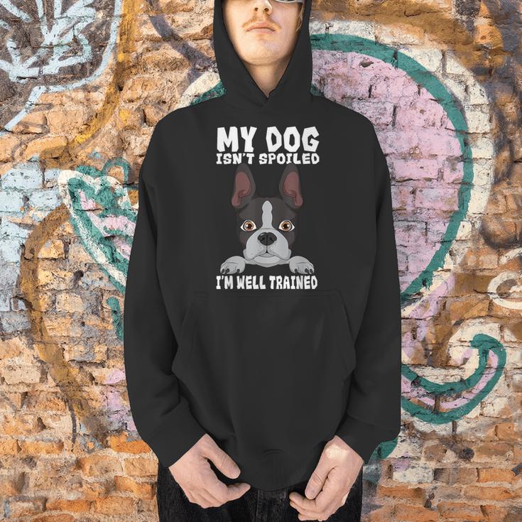 Boston Terrier American Gentleman Dog Lover I'm Well Trained Men Hoodie, American Boston Terrier Hoodies, gift for family, gift for coworker