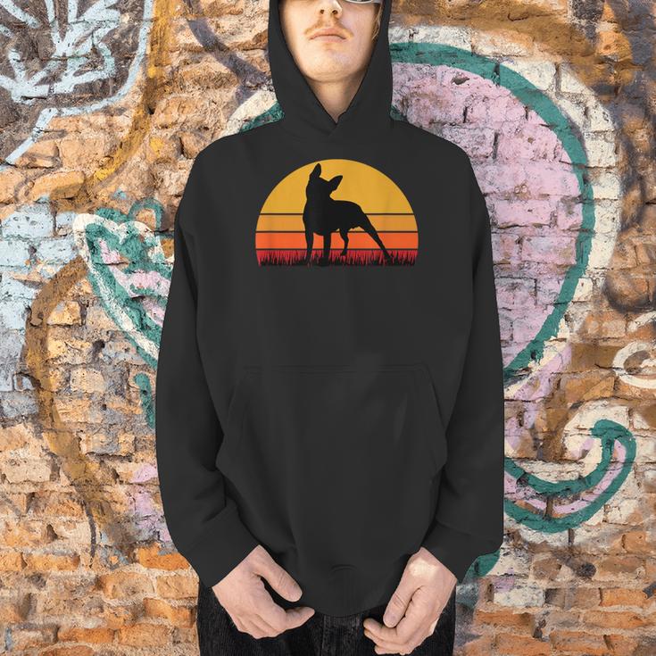Boston Terrier Bostie Sunset Retro Dog Pet Mom Dad Men Hoodie, Boston Terrier Mom Hoodies, Boston Terrier Dad Hoodies, gift for family, gift for coworker