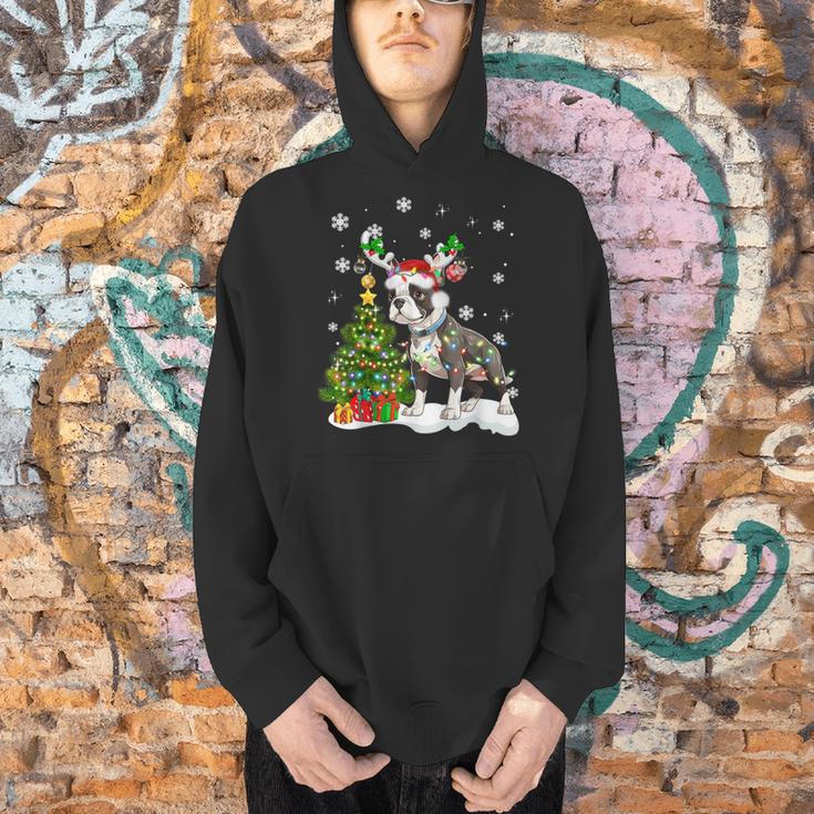 Boston Terrier Christmas Tree Lights Santa Hat Men Hoodie, Boston Terrier Christmas Hoodies, gift for family, gift for coworker