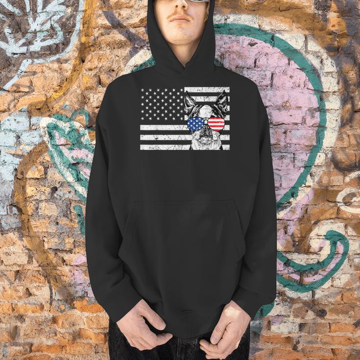 Boston Terrier Dog 4th Of July US American Flag Patriotic Men Hoodie, Patriotic Boston Terrier Hoodies, American Boston Terrier Hoodies, Boston Terrier 4th Of July Hoodies, gift for family, gift for coworker
