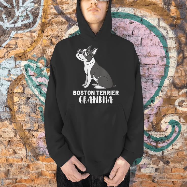 Boston Terrier Dog Owner Grandma Men Hoodie, gift for family, gift for coworker