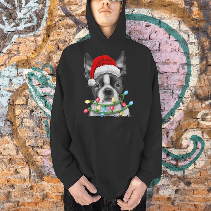Boston Terrier Dog Santa Christmas Tree Lights Xmas Men Hoodie, Boston Terrier Christmas Hoodies, gift for family, gift for coworker