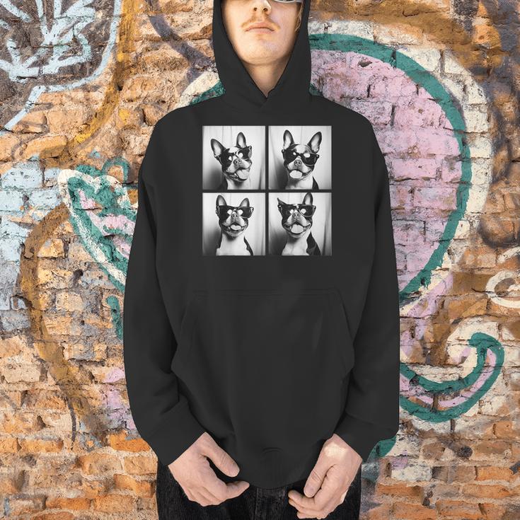 Boston Terrier Dogs With Sunglasses Photo Pets Meme Men Hoodie, gift for family, gift for coworker