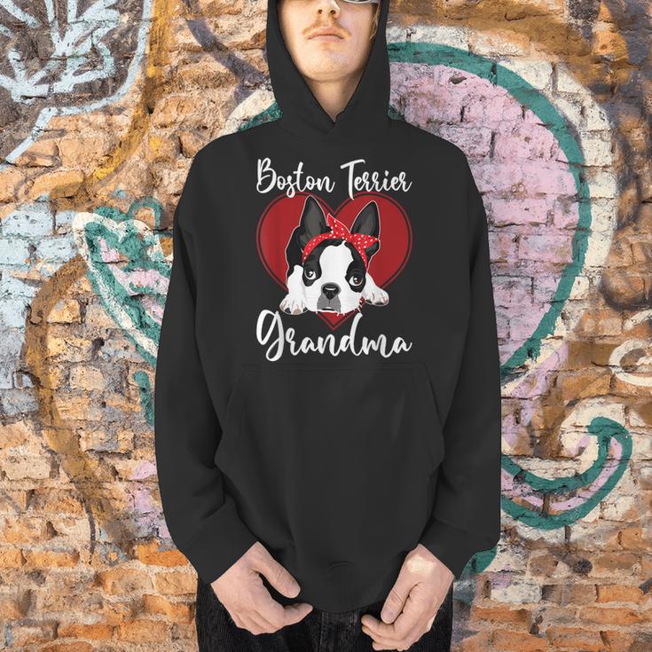 Boston Terrier Grandma Dog Owner Boston Terrier For Men Women Men Hoodie, gift for family, gift for coworker
