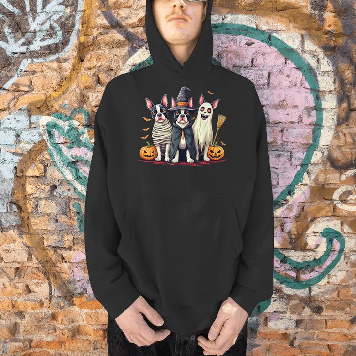 Boston Terrier Halloween Costume Mummy Witch Ghost Dog Lover For Men Women Kids Men Hoodie, Boston Terrier Ghost Hoodies, Boston Terrier Halloween Hoodies, gift for family, gift for coworker