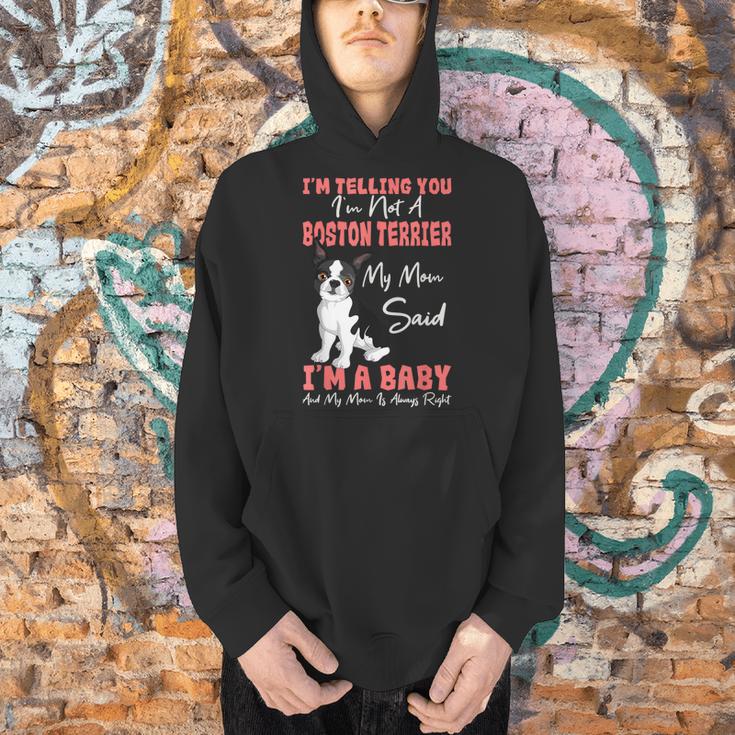 Boston Terrier Mom American Gentleman Dog Lover Mother's Day Men Hoodie, Boston Terrier Mom Hoodies, American Boston Terrier Hoodies, gift for family, gift for coworker