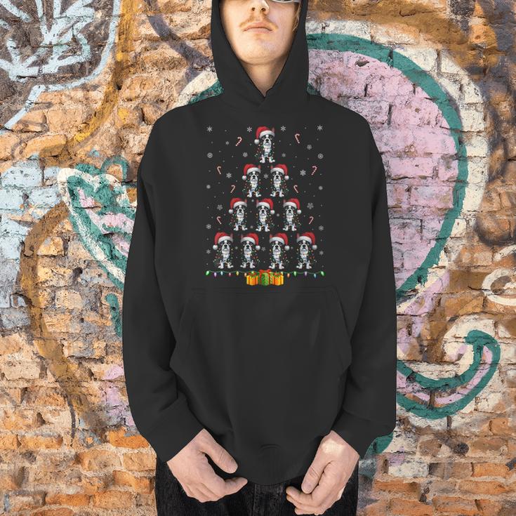 Boston Terrier Santa Hat Xmas Light Men Women Christmas Tree Men Hoodie, Boston Terrier Christmas Hoodies, gift for family, gift for coworker