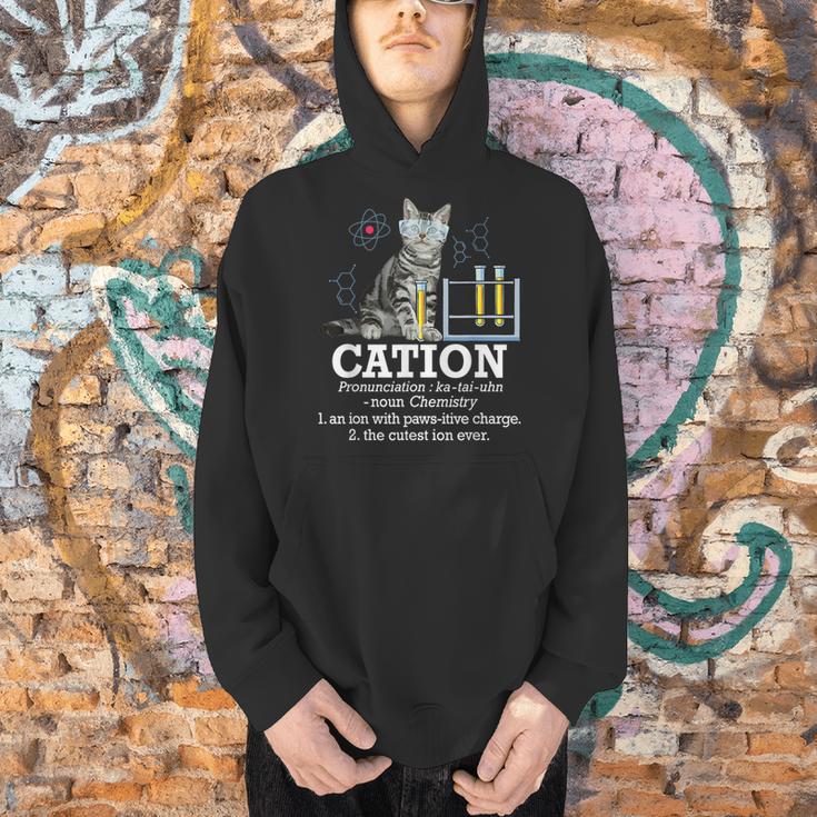 Cation Chemistry Humor Science Teacher Cat Pun Men Hoodie, Science Teacher Hoodies, gift for family, gift for coworker