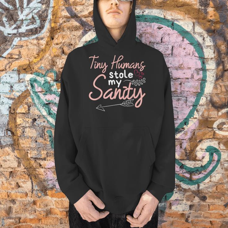Childcare Provider Daycare Teacher Stole My Sanity Men Hoodie, gift for family, gift for coworker