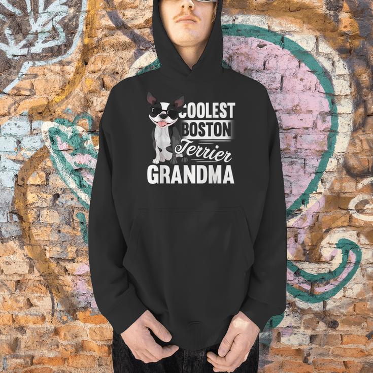 Coolest Boston Terrier Grandma Dog Men Hoodie, gift for family, gift for coworker