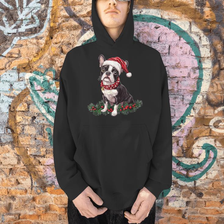 Cute Boston Terrier Dog Christmas Merry X-Mas Graphic Men Hoodie, Boston Terrier Christmas Hoodies, gift for family, gift for coworker