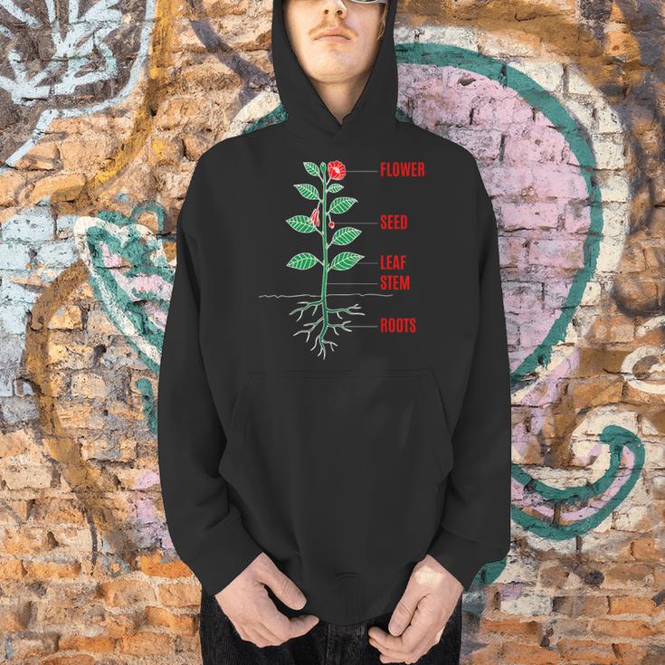 Parts Of a Plant Science For Teachers Kids And Students Men Hoodie, Science Teacher Hoodies, gift for family, gift for coworker