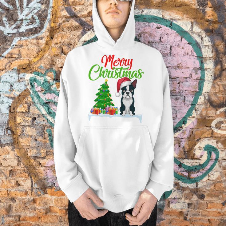 Boston Terrier Christmas Tree Lights Xmas Dog Lover Men Hoodie, Boston Terrier Christmas Hoodies, gift for family, gift for coworker