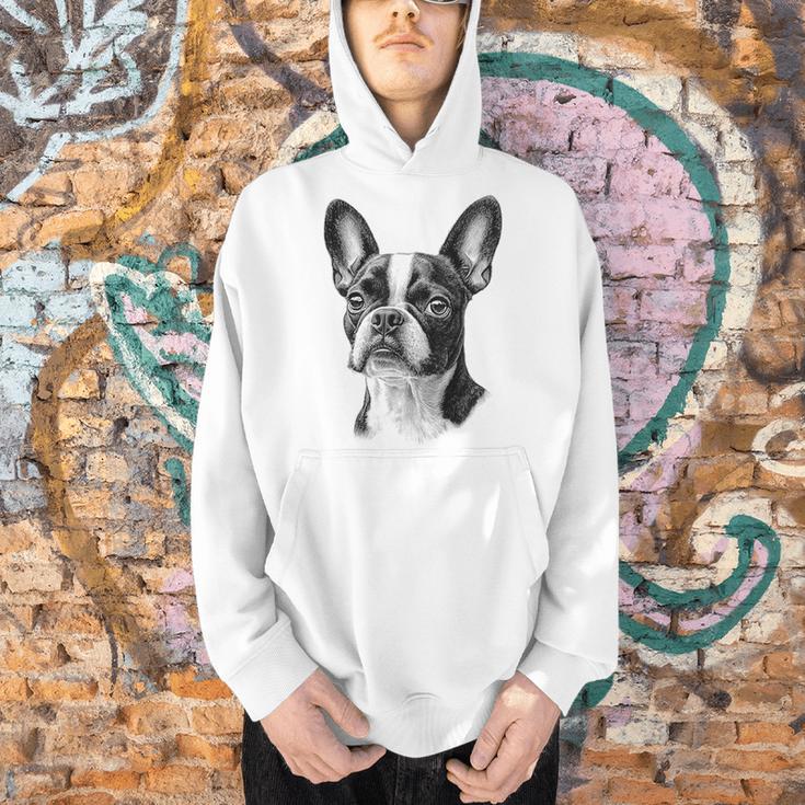 Boston Terrier Dog Motif Pet Illustration Boston Terrier For Men Women Kids Men Hoodie, gift for family, gift for coworker