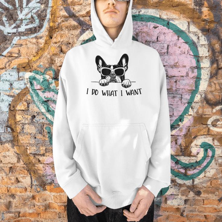 Boston Terrier Dog Owner I Do What I Want Pet Men Hoodie, gift for family, gift for coworker
