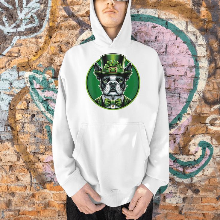 Boston Terrier Dog St Patricks Day Irish Pet Lover Men Women Kids Men Hoodie, gift for family, gift for coworker